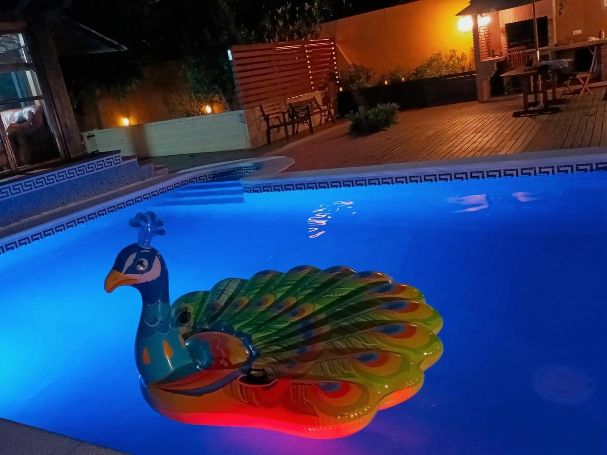 Villa Du Lac Speciale Pour Famille Avec Enfant Riudecanyes Eksteriør billede
